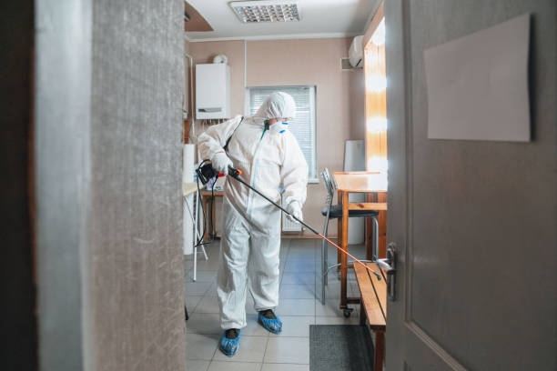 St Albans, VT Mold Inspection, Removal & Remediation Company